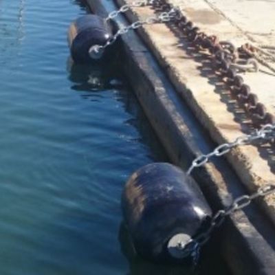 Deniz Yüzer Renkli Tampon Poliüretan EVA Deniz Çamurluk, Zincir ve Lastik Ağı ile