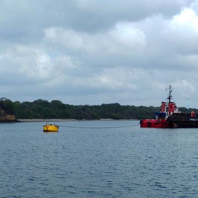 Yüzer Tip Deniz Derin Su Açık Deniz Demirleme Şamandırası