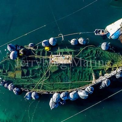 Pnömatik Kauçuk Çamurluk Yokohama Çin'de Yapılan Doğal Kauçuk Gemi Çamurluğu